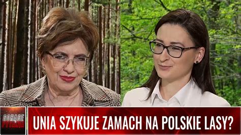 Unia Szykuje Zamach Na Polskie Lasy Wpolsce Pl