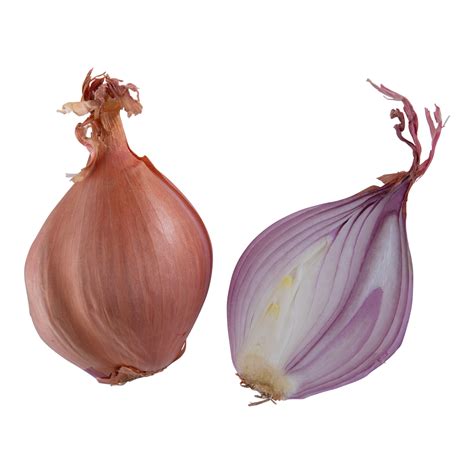 Shallots Important Facts Health Benefits And Recipes Relish