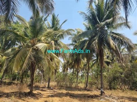 1 26 Acres Coconut Farm Land For Sale Near Kunigal Kunigal Tumkur