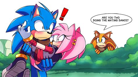 Busted Sonic X Amy Sonamy Comic Dub Compilation Youtube