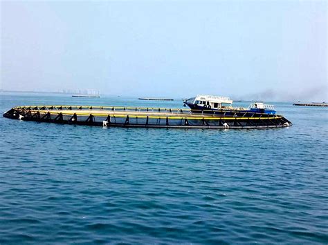 HDPE Material Floating Open Sea Circular Round Fish Farming Equipment