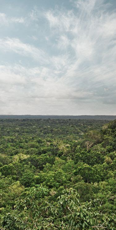 Das Erbe Der Maya Reise In Ein Mexiko Vor Unserer Zeit Travelhouse