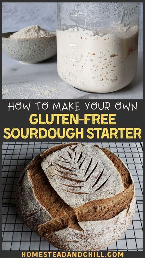 How To Make A Gluten Free Sourdough Starter From Scratch Recipe