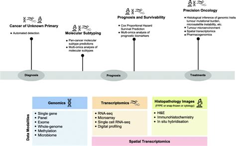 Deep Learning May Impact Clinical Oncology During Diagnosis Prognosis