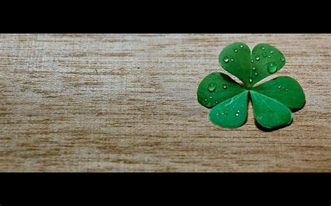 Four Leaf Clover Wallpaper ·① Wallpapertag