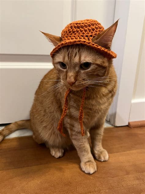 Bucket Hat For Cats Sun Hat For Cats Orange Hat For Cats Cat Hat