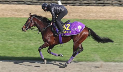 【有馬記念】ドウデュース復活勝利へ「動きたくて仕方ない感じ」大江助手は秋3戦目の上積み強調 競馬写真ニュース 日刊スポーツ