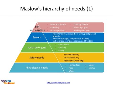 Maslow's Hierarchy Of Needs