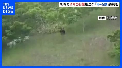 クマが4頭から5頭いるクマの目撃相次ぐ公園全面閉鎖も札幌市南区tbsnewsdig │ 【気ままに】ニュース速報