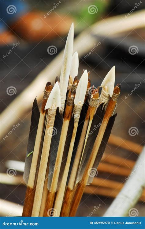 Ancient Arrows Stock Photo Image Of Archeology Sinew 45995970