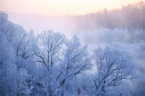 Winter`s Tale in Northeast China Stock Image - Image of white, holidays: 158555921