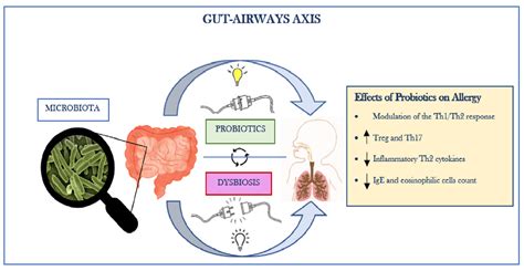 Allergies Free Full Text Efficacy And Safety Of Oral Probiotics In