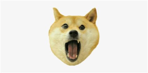 Doge Face Png - Doge Png Transparent Transparent PNG - 400x400 - Free ...