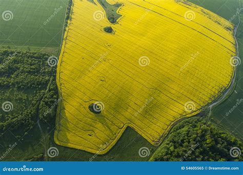 Aerial View Of Yellow Fields Stock Image Image Of Landscape Fresh