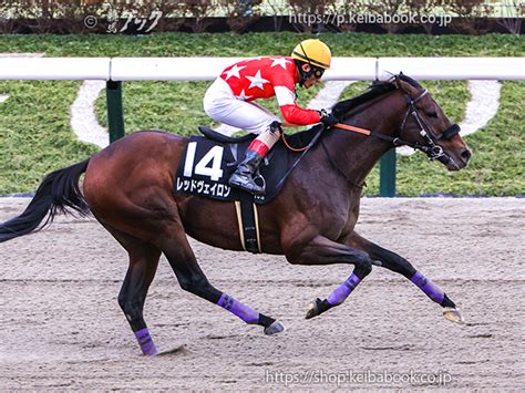 競馬ブックネットshop カラープリントアルミ枠付き2024年2月11日東京10r バレンタインステークスレッドヴェイロン