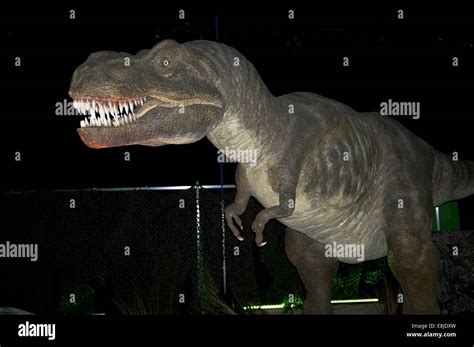 Dh Tyrannosaurus Rex PrÉhistorique Uk Extinction T Rex Nord Américain