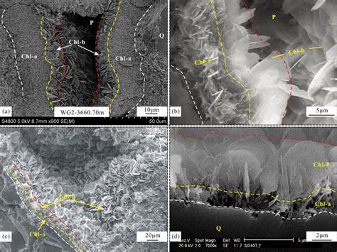 Morphological Characteristics Of Pore Lining Chlorite Sem Images