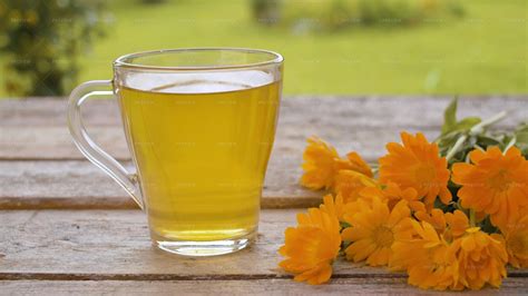 Calendula Tea And Flowers - Stock Photos | Motion Array