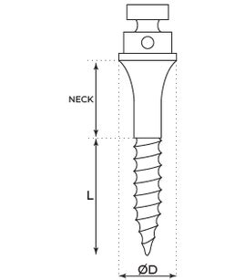 Orthodontic Buccal Shelf Micro-Implants (TADs)