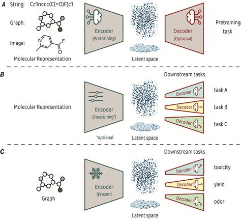 A Focus On Molecular Representation Learning For The Prediction Of