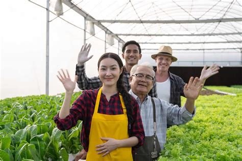 Greenhouse Farming in Karnataka: Crops, 1 Acre Greenhouse Cost, Subsidy ...