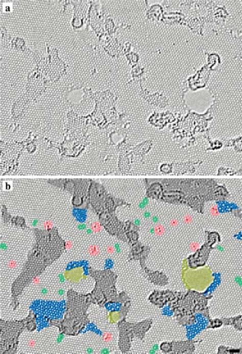 A Aberration Corrected Tem Image Of A Single Layer Rgo Nanosheet With