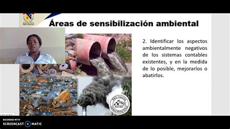 Auditoria Ambiental Final Youtube