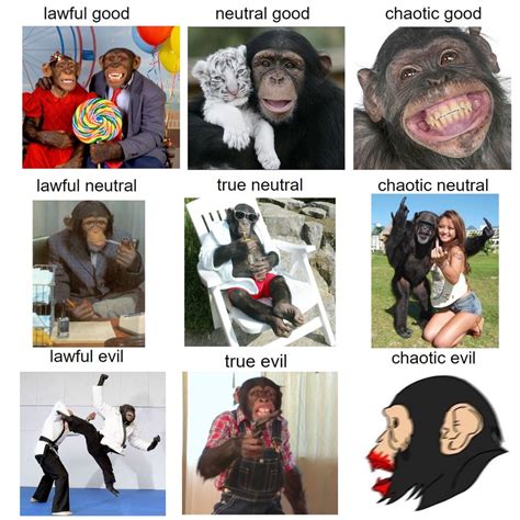 Alligment Chart For Chimps Ape