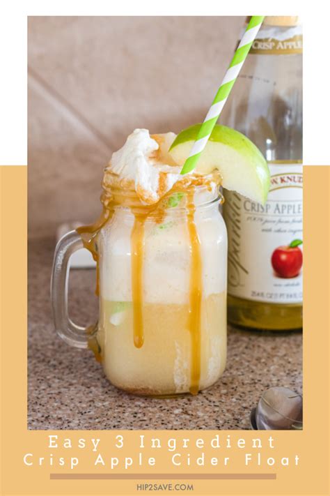 Apple Cider Ice Cream Floats Yummy Fall Recipe