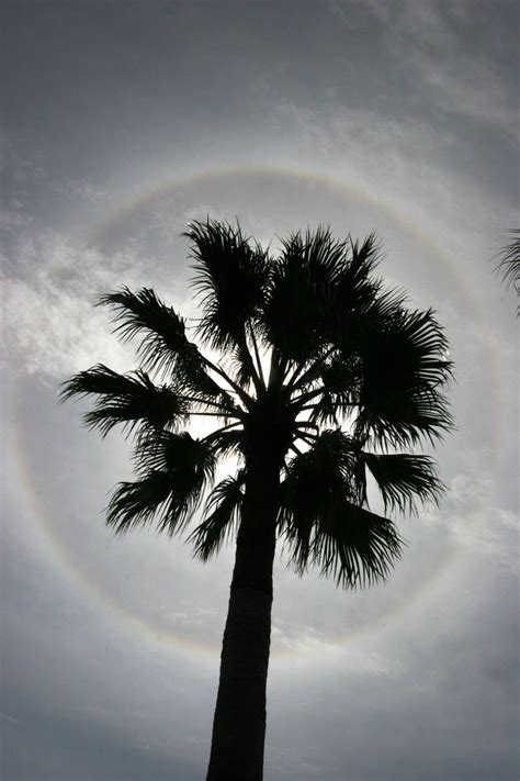 Koen Van Gorp Astronomy And Photography Atmosphere Ice Halos 22