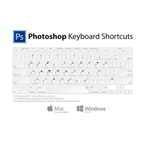 Adobe Photoshop Keyboard Shortcuts MCQ | 500 + Adobe Photoshop MCQ Questions and Answers ...