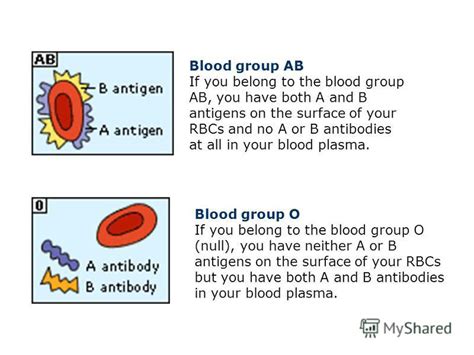 Презентация на тему Co Dominance Blood Groups And Rhesus Factor Dr