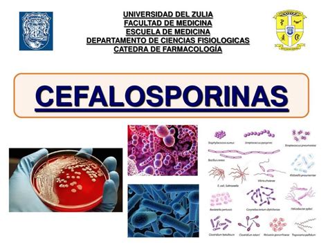 Cefalosporinas Mariangela UDocz