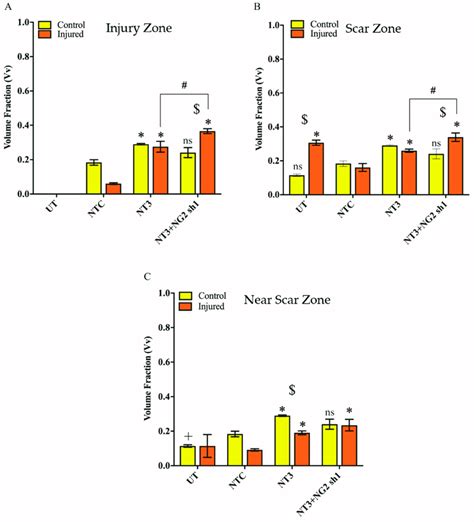 Vv βIII tubulin in untransduced and lentiviral vector transduced