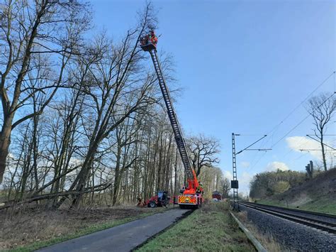 Agathenburg Und Dollern Baum Drohte Auf Bahn Oberleitung Zu Fallen Stade