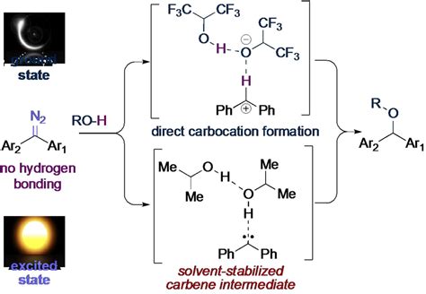 Proton Or Carbene Transfer On The Dark And Light Reaction Of