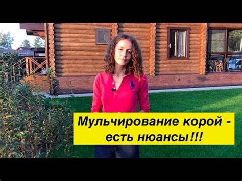 Мульчирование корой - не всё так просто, как кажется. Мой опыт! - YouTube