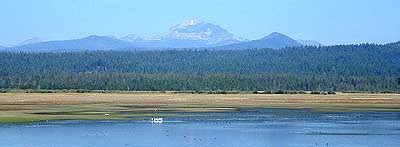 Lassen National Forest Map - Lassen Forest Maps - Dispersed Camping