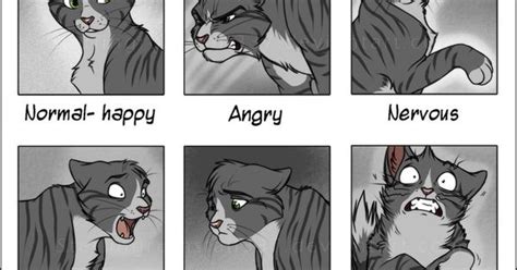 Toon Cat Facial Expressions Drawing References Pinterest Facial