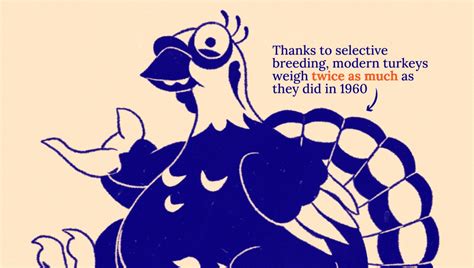 Turkeys Have Doubled In Weight Since 1960 🍗 Voronoi