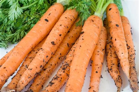 Premium Photo Freshly Picked Home Grown Carrots With Adhering Soil