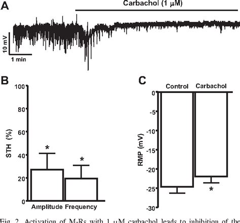 Figure 2 From Activation Of Muscarinic M 3 Receptors Inhibits Large