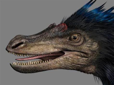 Chicken embryo experiment reveals their dinosaur origins | news.com.au — Australia’s leading ...