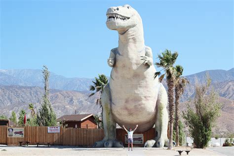 Desert Dinosaurs Yummertime