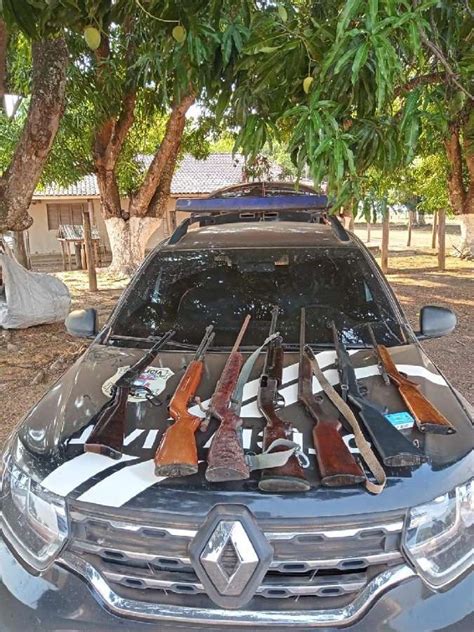 Polícia Civil apreende 7 armas de fogo e munições na zona rural de