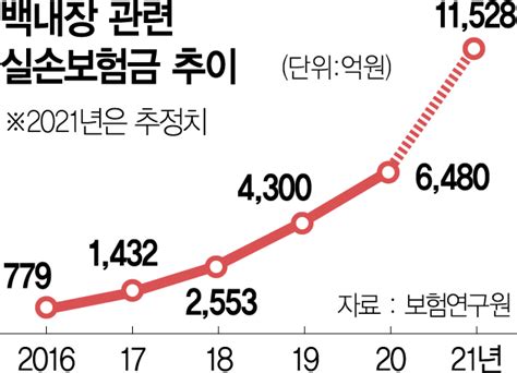 백내장·도수치료 실손 지급 깐깐해진다 서울경제