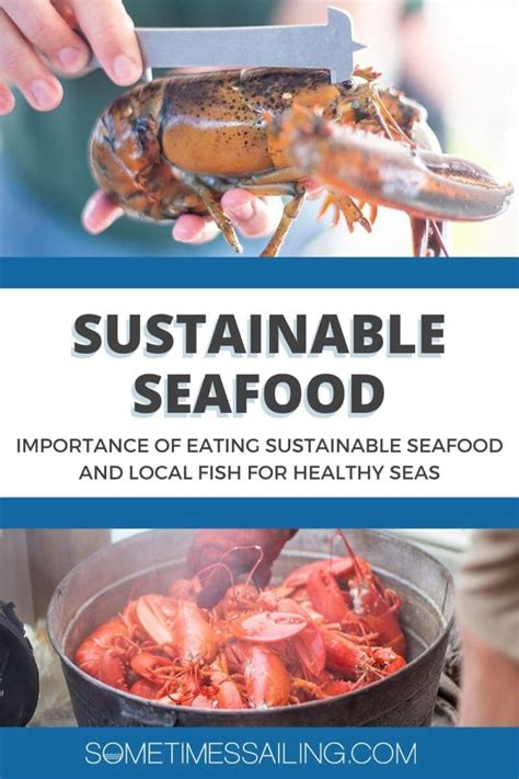 Importance Of Eating Sustainable Seafood And Local Fish For Healthy Sea