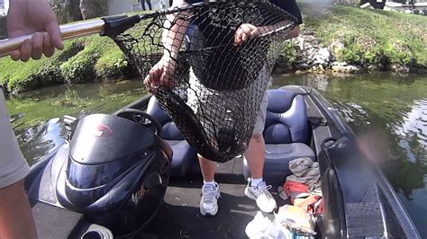 Miami Canals Peacock Bass Trophy Catch YouTube