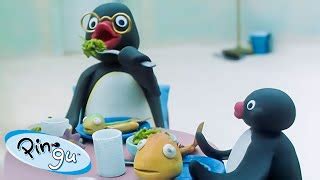 Pingu's Family 🐧 | Pingu - Official Channel | Cartoons For Kids | Music ...