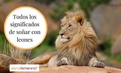 Qué Significa Soñar Con Leones Psicologistica